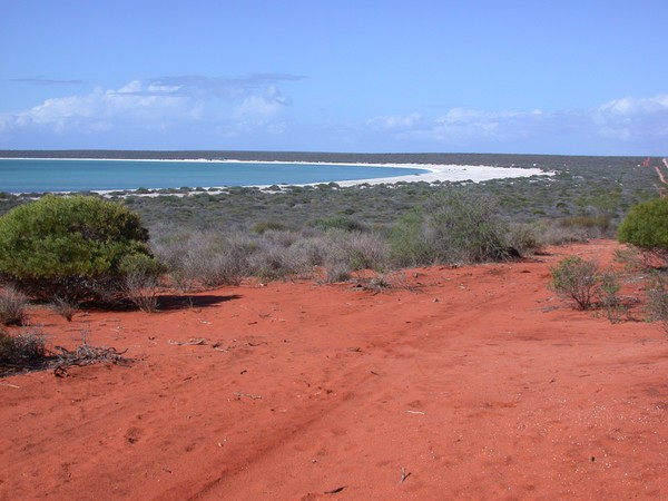 Coastline